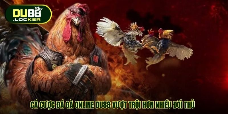 Cá Cược Đá Gà Online DU88 – Sân Chơi Uy Tín Cho Đam Mê 1 Cá cược Đá gà online DU88 vượt trội hơn nhiều đối thủ