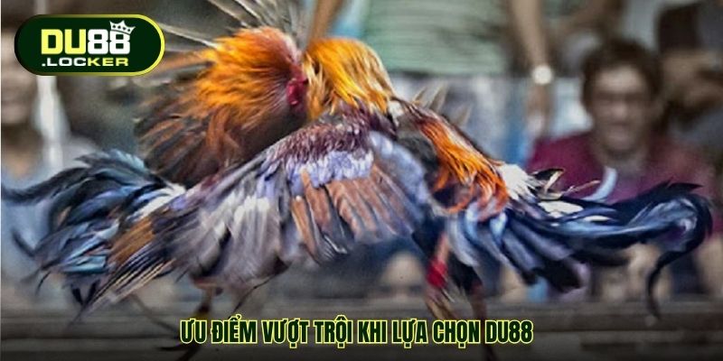 Cá Cược Đá Gà Online DU88 – Sân Chơi Uy Tín Cho Đam Mê 3 Ưu điểm vượt trội khi lựa chọn DU88